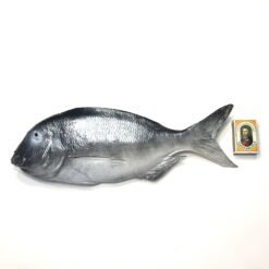 Alternative view of Aborre stor kunstig fisk