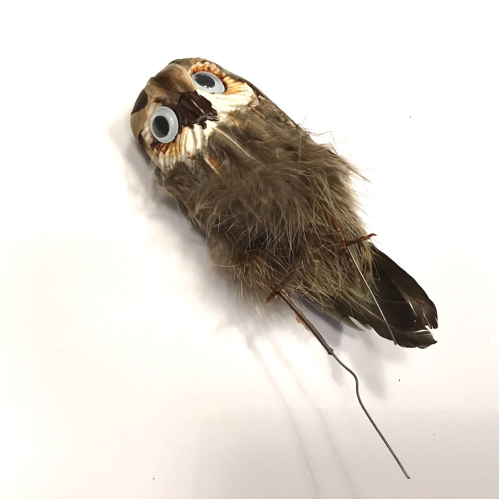 Ugle med store øjne - Billede 7