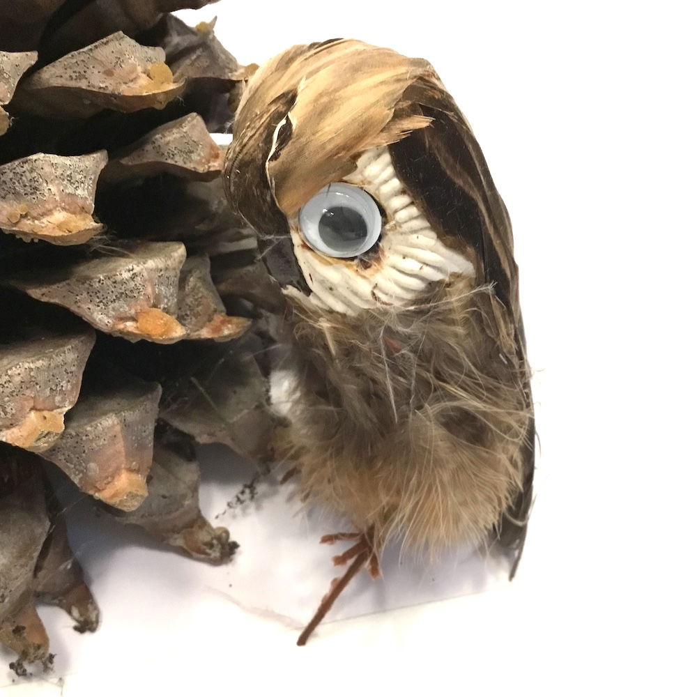 Ugle med store øjne - Billede 16