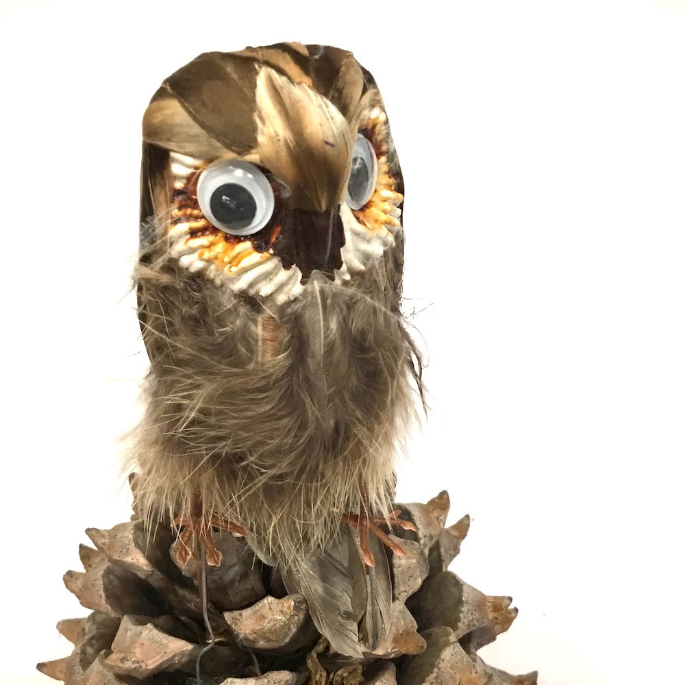 Ugle med store øjne - Billede 4