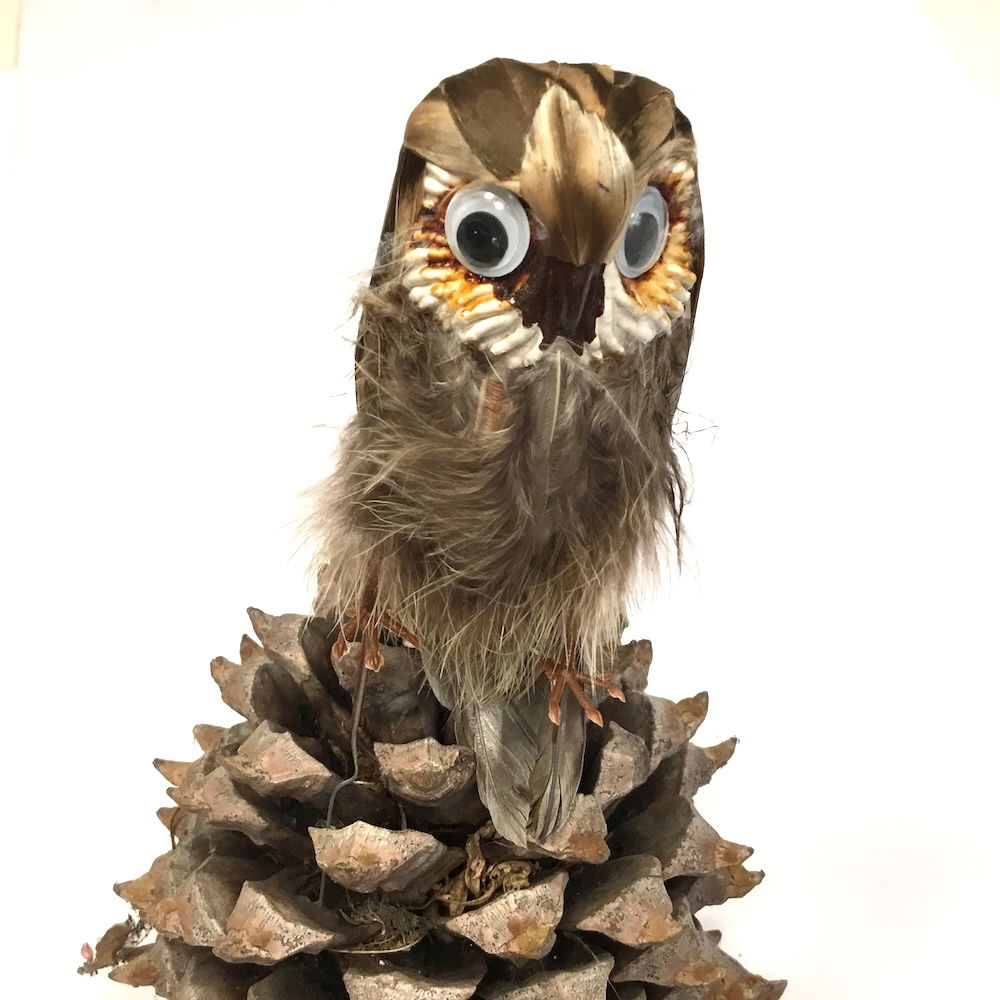 Ugle med store øjne - Billede 17