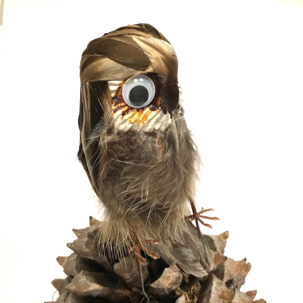 Ugle med store øjne - Billede 10