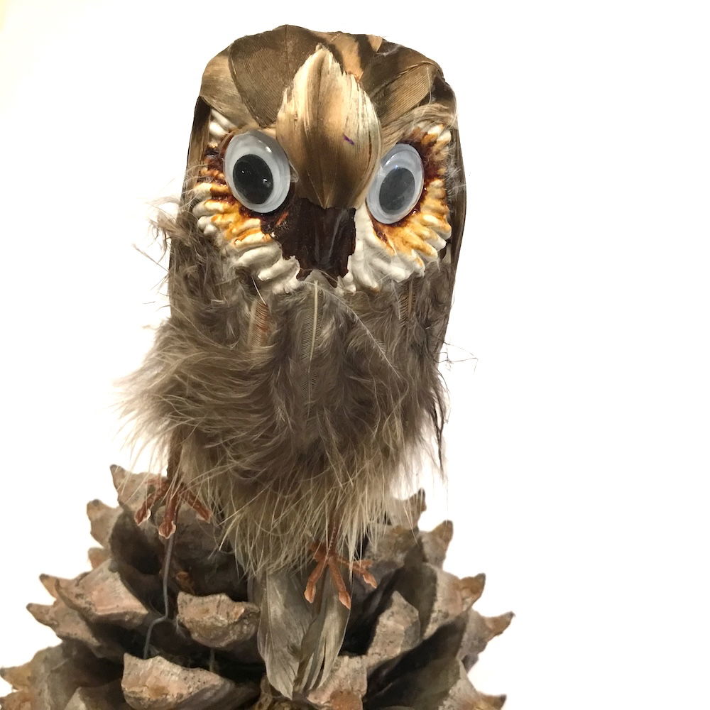 Ugle med store øjne - Billede 19