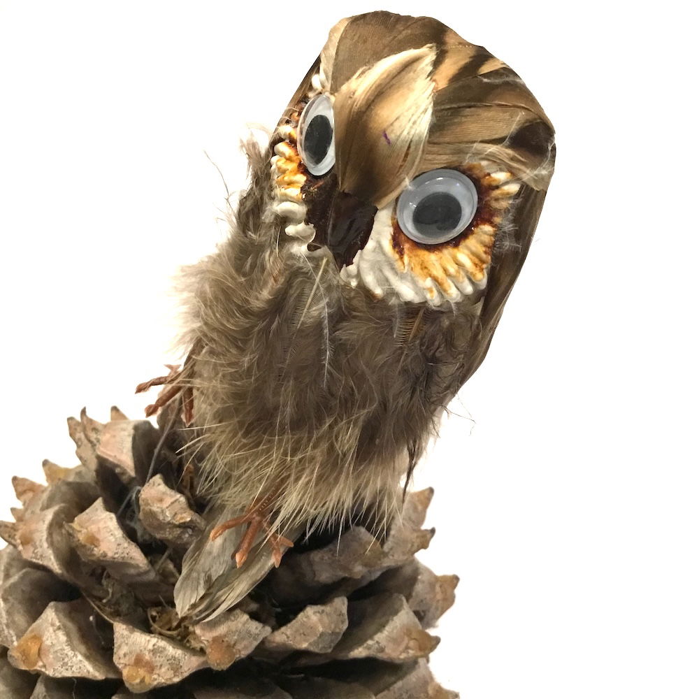 Ugle med store øjne - Billede 20