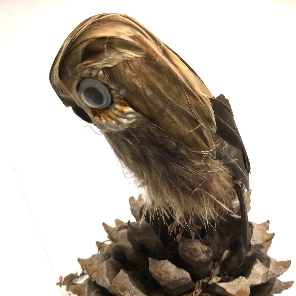 Ugle med store øjne - Billede 21
