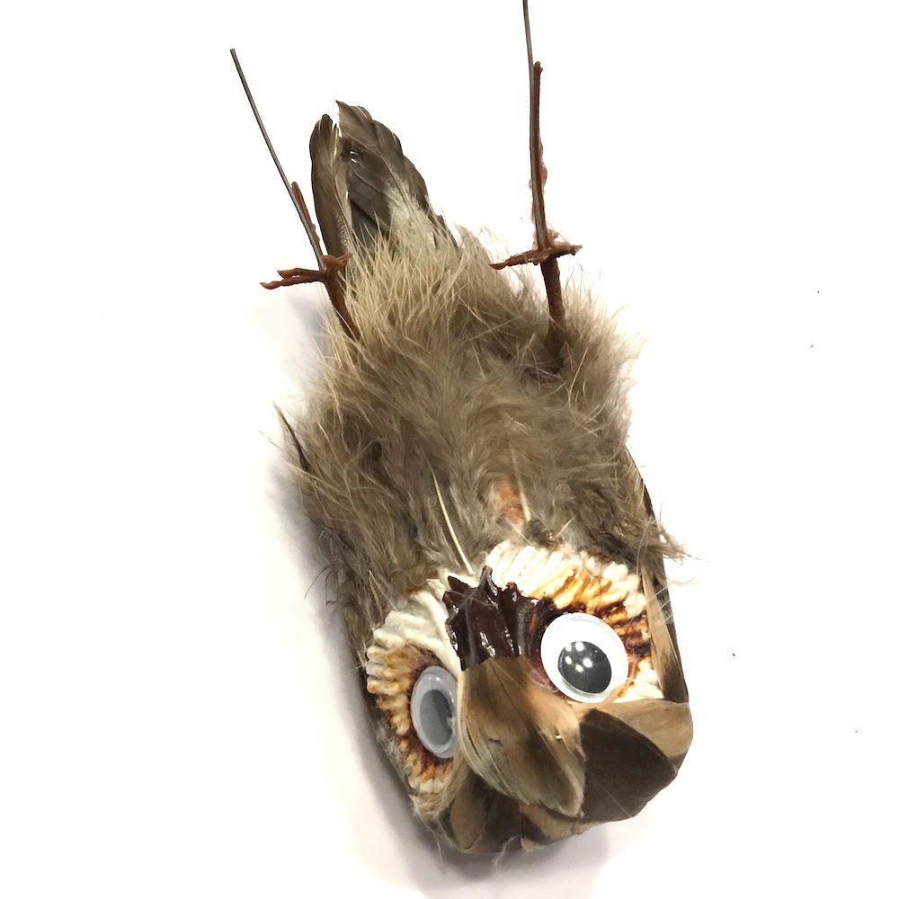 Ugle med store øjne - Billede 9