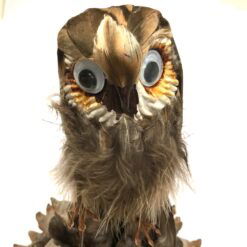 Ugle med store øjne