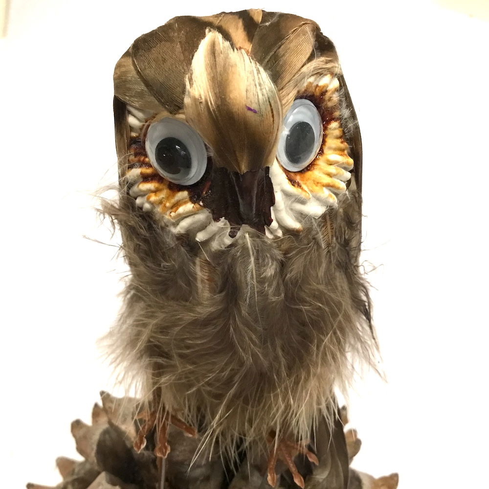 Ugle med store øjne