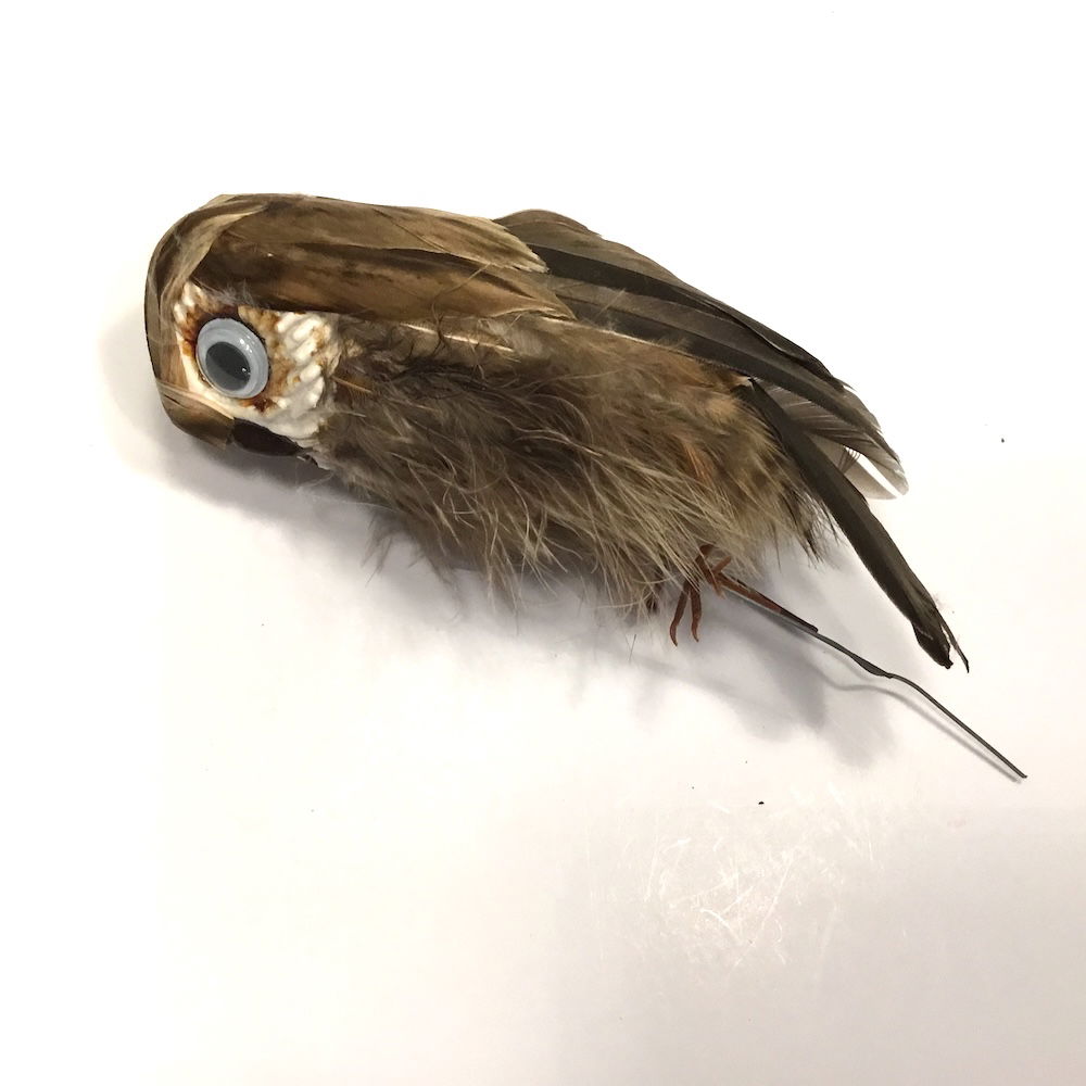 Ugle med store øjne - Billede 18