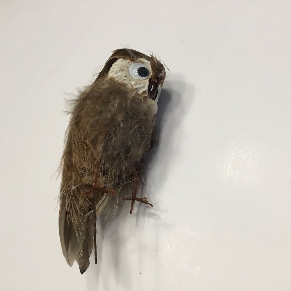 Ugle med store øjne - Billede 15