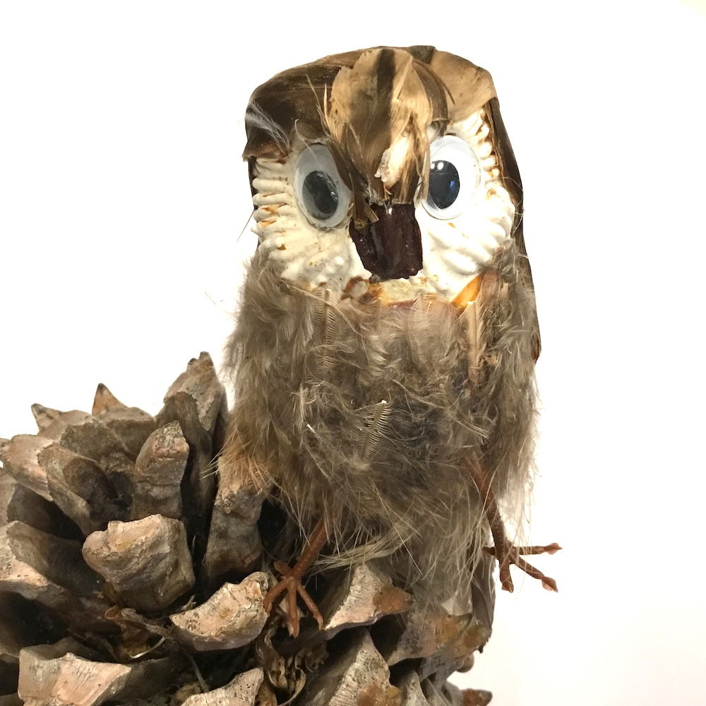 Ugle med store øjne - Billede 2