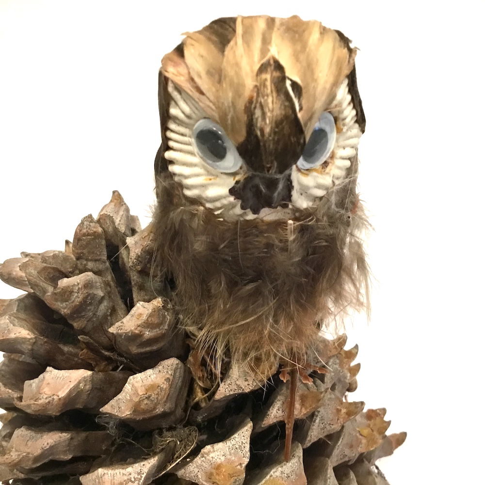 Ugle med store øjne - Billede 8