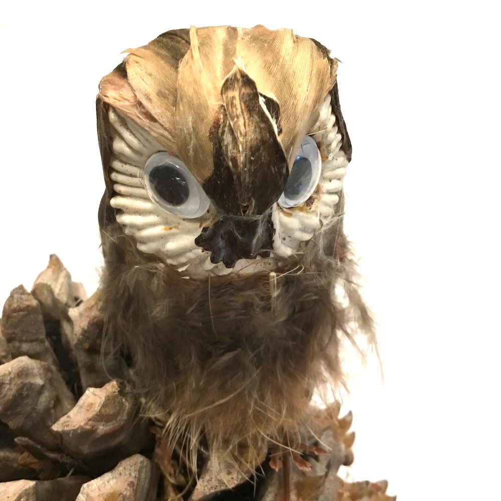 Ugle med store øjne - Billede 12
