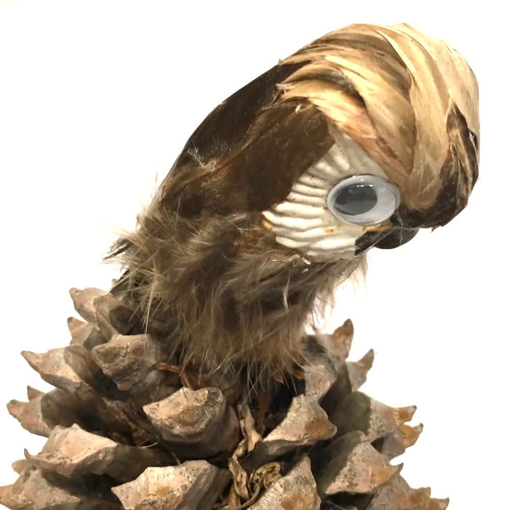 Ugle med store øjne - Billede 6