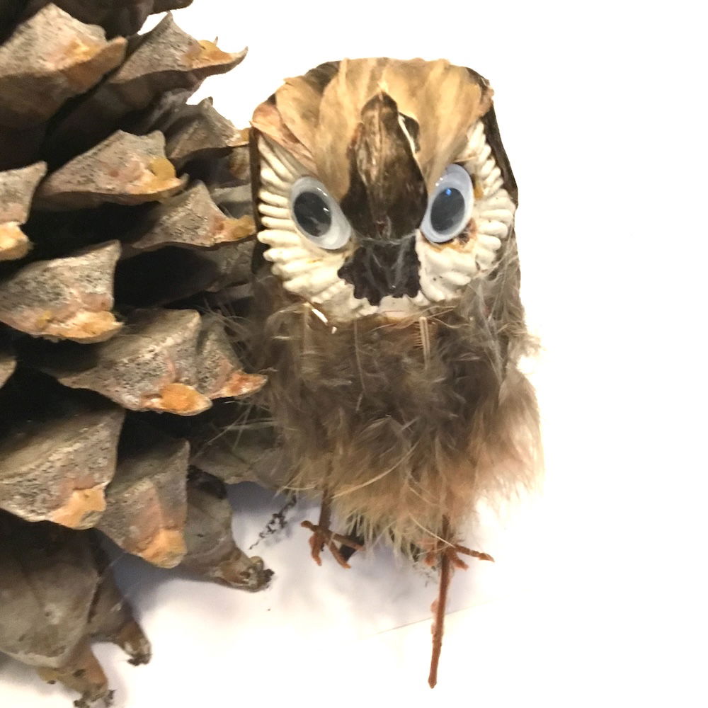 Ugle med store øjne - Billede 14