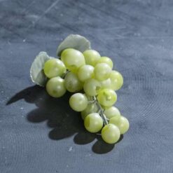 Lille grøn vindrue med blade