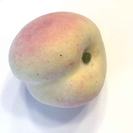 Helt igennem naturtro fersken