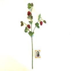 Alternative view of Dekorativ rød hindbær plante