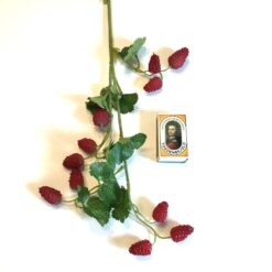 Alternative view of Dekorativ rød hindbær gren