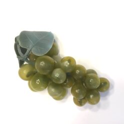 Lille grøn vindrue med blade