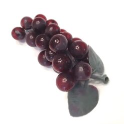 Lille rød vindrue med blade