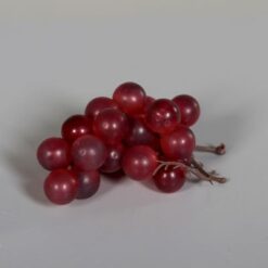 Lille rød vindrue uden blade