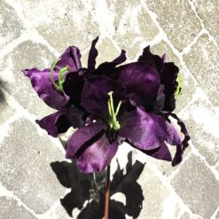 Alternative view of Høj dekorativ lilla Amaryllis