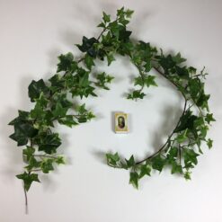 Alternative view of Fyldig Efeuranke