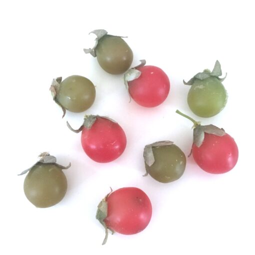 Naturtro små løse cherrytomater