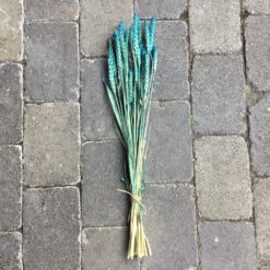 Alternative view of Tørrede turkis hvede buket