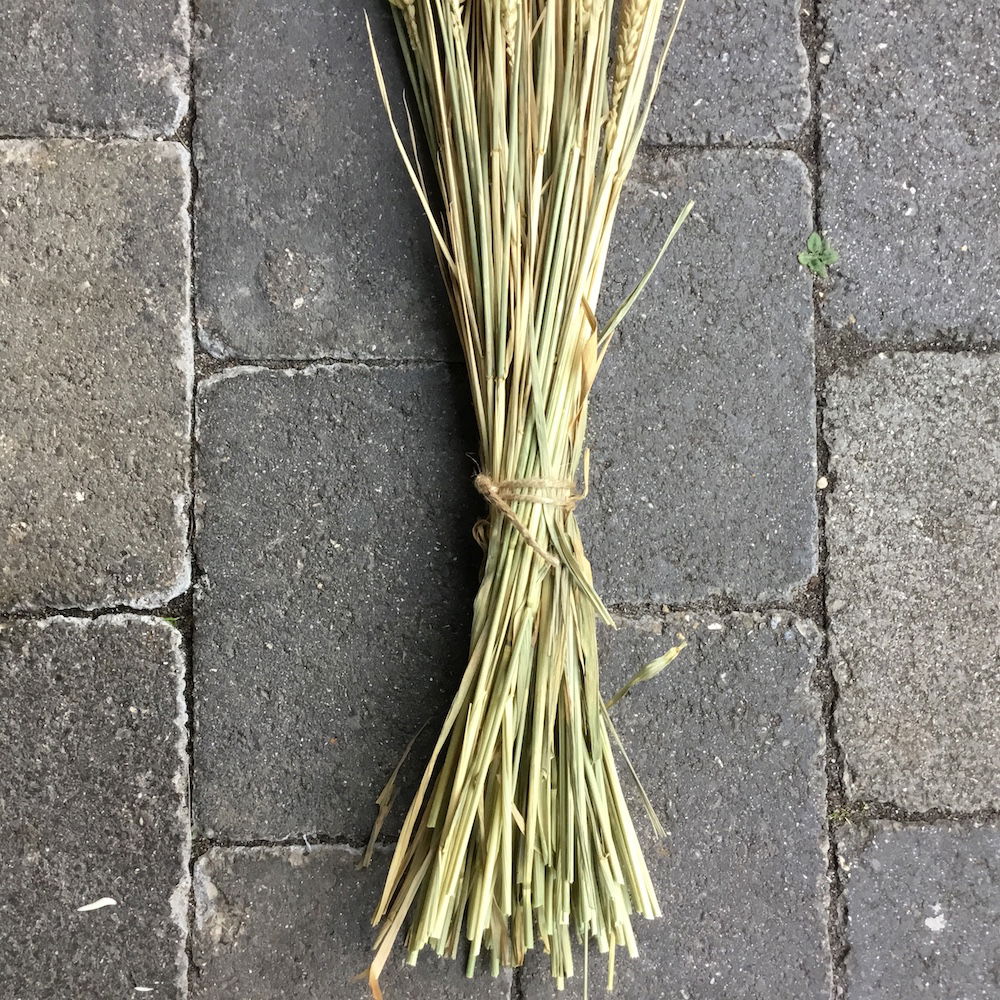 Naturligt lys hvede korn - Billede 6