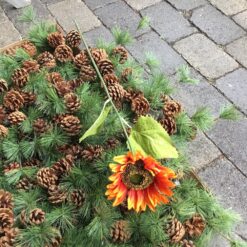 Alternative view of Høj orange solsikke gren