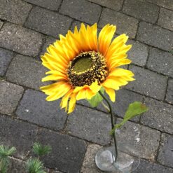 Alternative view of Høj gul solsikke gren