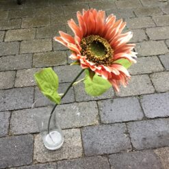 Alternative view of Høj gylden solsikke gren