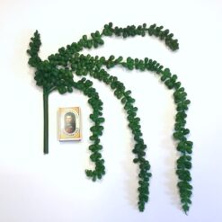 Alternative view of Kunstig grøn hængende Amarantus