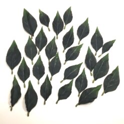 Dekorative naturtro grønne blade