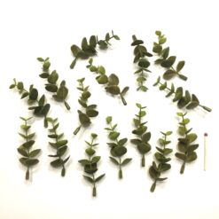 Alternative view of Grønne korte eucalyptus grene