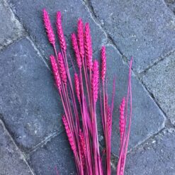 Pink tørret hvede buket 