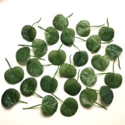 Grønne ovale ens blade