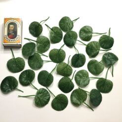 Alternative view of Grønne ovale ens blade