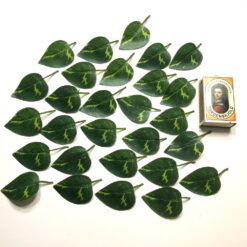 Alternative view of Grønne spidse ens blade