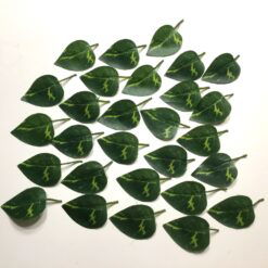 Grønne spidse ens blade