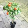 Kunstigt mandarin træ i potte