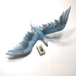 Alternative view of Hvid og blålig måge