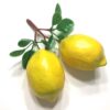 Gule citroner på stilk