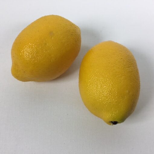 Kunstig flot naturtro citron