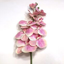 Høj rosafarvet kunstig orkide