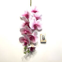 Alternative view of Lys orkide med pink knopper