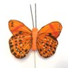 Orange lille sortplettet sommerfugl