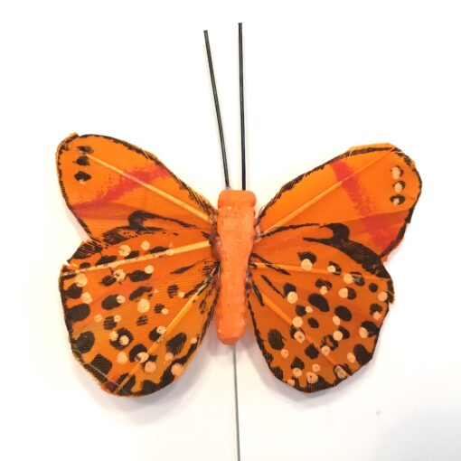 Orange lille sortplettet sommerfugl